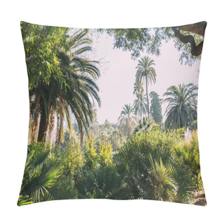 Personality  Tall Green Palm Trees And Bushes In Parc De La Ciutadella, Barcelona, Spain Pillow Covers