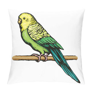 Personality  Budgerigar. Vector Drawing Pillow Covers