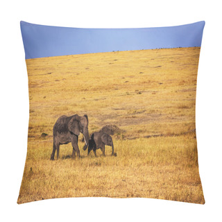 Personality  Female Elephant Roaming With Cub Pillow Covers