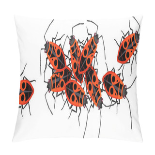 Personality  Firebugs (Pyrrhocoris Apterus) Isolated On White Background Pillow Covers
