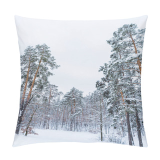 Personality  Scenic View Of Beautiful Snow Covered Trees In Winter Forest    Pillow Covers