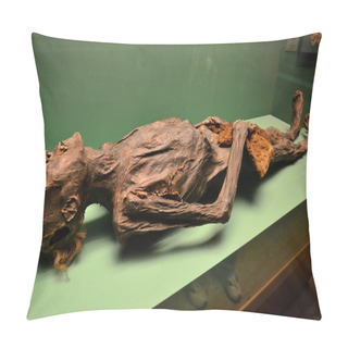 Personality  The Human Mummy Pillow Covers