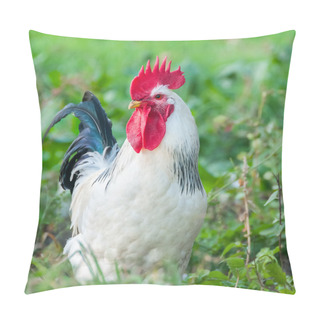 Personality  Beautiful Rooster On Nature Background  Pillow Covers