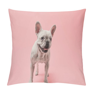 Personality  Small French Bulldog On Pink Background Pillow Covers