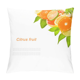Personality  Different Citrus Fruits Pillow Covers