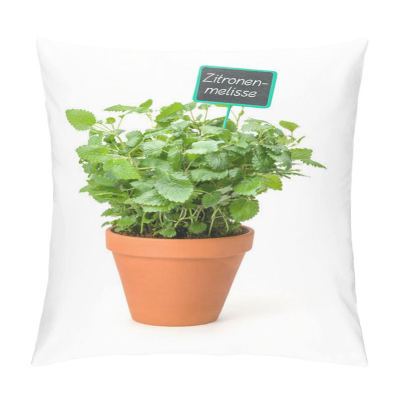 Personality  Lemon Balm In A Clay Pot With A German Label Zitronenmelisse Pillow Covers