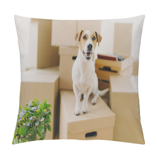 Personality  Funny Dog Sits On Carton Boxes, Green Indoor Plant Near, Relocates In New Modern Apartment, Has Brown Ears, White Fur, Happy To Live In Expensive House. Animals, Moving Day And Housing Concept Pillow Covers