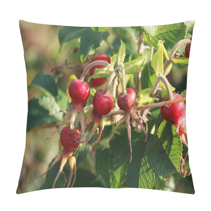Personality  Red Dogroses Are Hanging On The Tree Pillow Covers