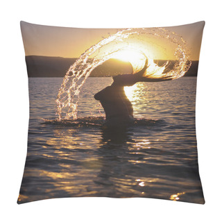 Personality  Girl Bathing At Sunset Pillow Covers