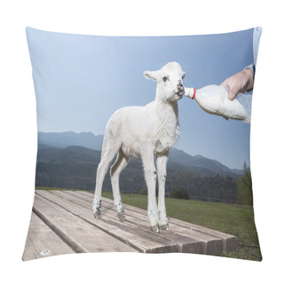 Personality  Bottle Feeding Baby Sheep In Nature Background Pillow Covers