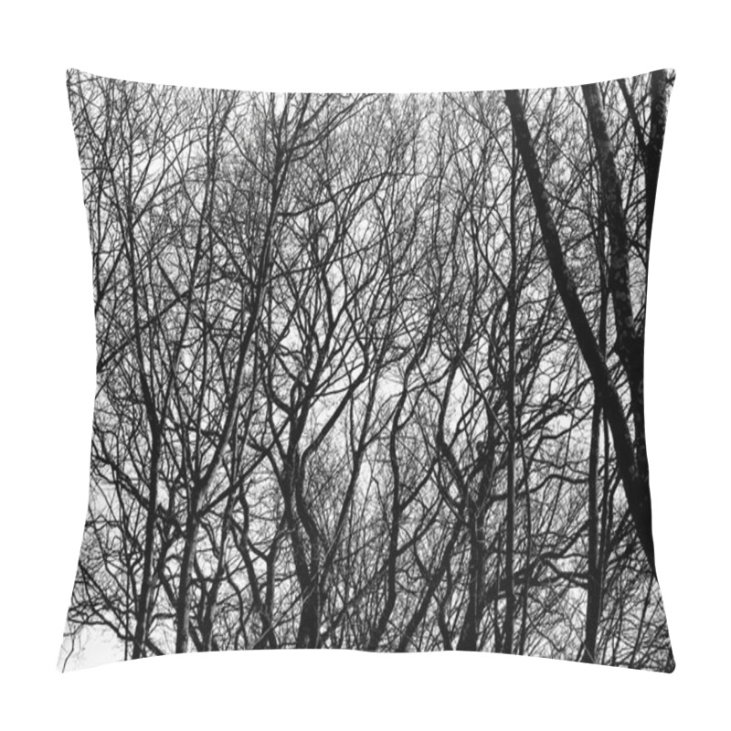 Personality  tree branches on a white background pillow covers