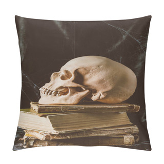 Personality  Halloween Skull On Ancient Books On Black Cloth With Spider Web, Gothic Witchcraft Pillow Covers