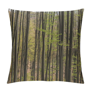 Personality  Tress With Green Leaves In Mountain Forest  Pillow Covers