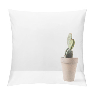 Personality  Beautiful Green Potted Cactus On White Pillow Covers