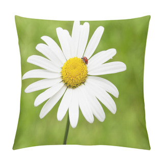 Personality  Ladybug On A Marguerite Pillow Covers