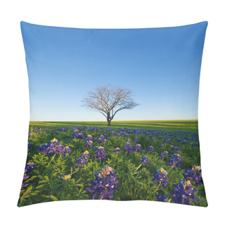 Personality  A Blue Bonnet Field, Ennis, Texas Pillow Covers