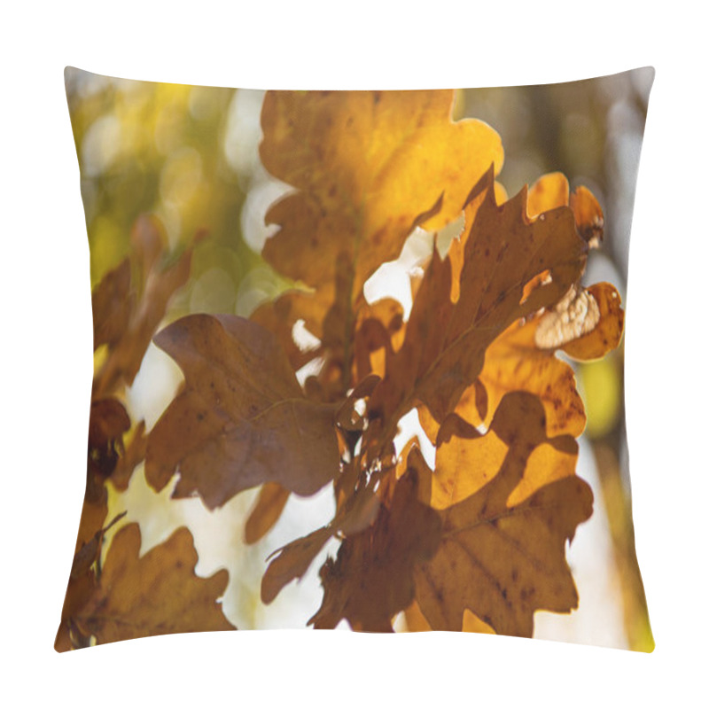 Personality  close up view of autumnal golden foliage on tree branch in sunlight pillow covers