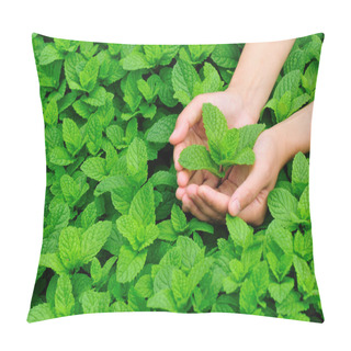 Personality  Young Woman Hands Protect Mint Plant Pillow Covers