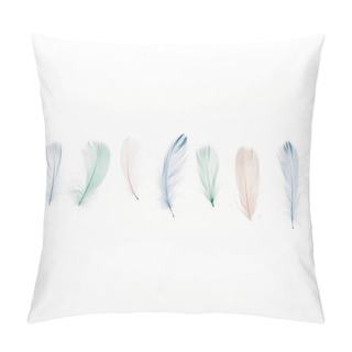 Personality  Multicolored Lightweight Feathers Isolated On White Pillow Covers