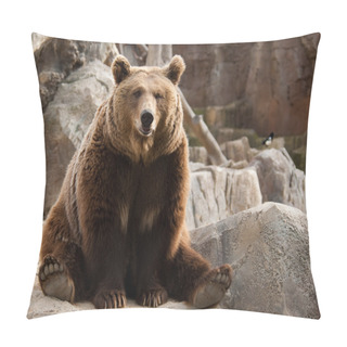 Personality  Brown Bear And A Bird Pillow Covers