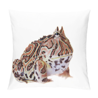 Personality  The Fantasy Horned Frog Isolated On White Pillow Covers