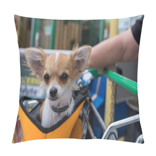 Personality  Little Dog Attentively Sits In A Shopping Cart Holder - Close-up Pillow Covers