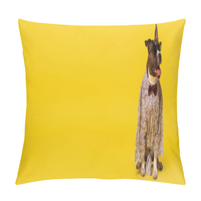 Personality  Purebred Staffordshire Bull Terrier In Cape With Bow Tie And Stylish Sunglasses Sitting On Yellow, Banner Pillow Covers