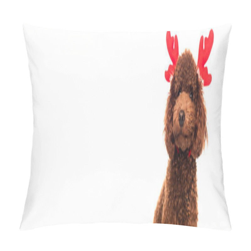 Personality  Brown Poodle In Reindeer Antlers Headband Isolated On White, Banner Pillow Covers