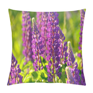 Personality  Lupinus, Lupin, Lupine Field With Pink Purple And Blue Flowers Pillow Covers