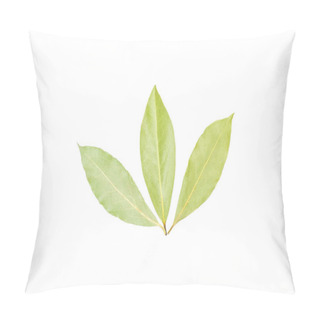 Personality  Group Of Three Whole Dry Olive Green Bay Laurel Leaves Flatlay Isolated On White Background Pillow Covers