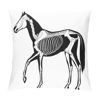 Personality  Horse Skeleton Pillow Covers