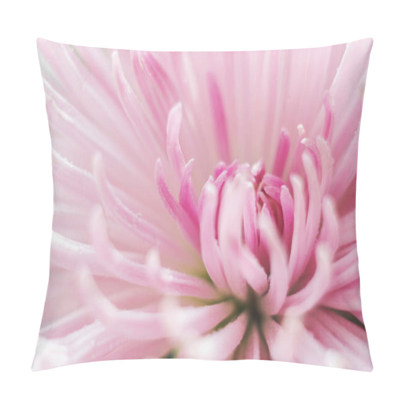 Personality  Beautiful fresh delicate flowers in the morning in the sun pillow covers
