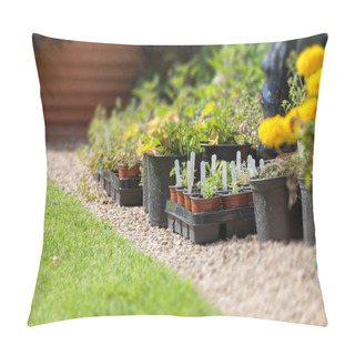 Personality  Gardeners Paradise Growing Plants And Flowers Pillow Covers