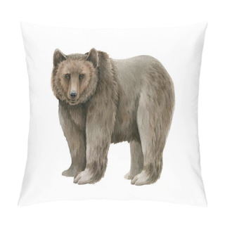 Personality  Bear Animal Watercolor Illustration. Hand Drawn Wild Grizzly. Single Bear Forest Wildlife Animal. Realistic Woodland Alaska And Siberia Predator. Grizzly Side View On White Background Pillow Covers