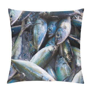 Personality  Chub Mackerels, Sea Fish Pillow Covers