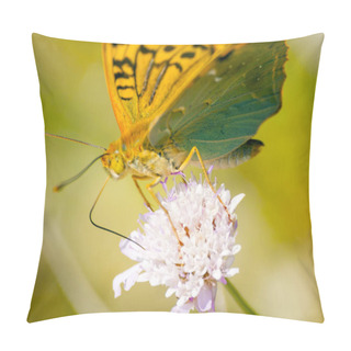 Personality  Brown Butterfly Pollinating A Flower On Springtime Pillow Covers