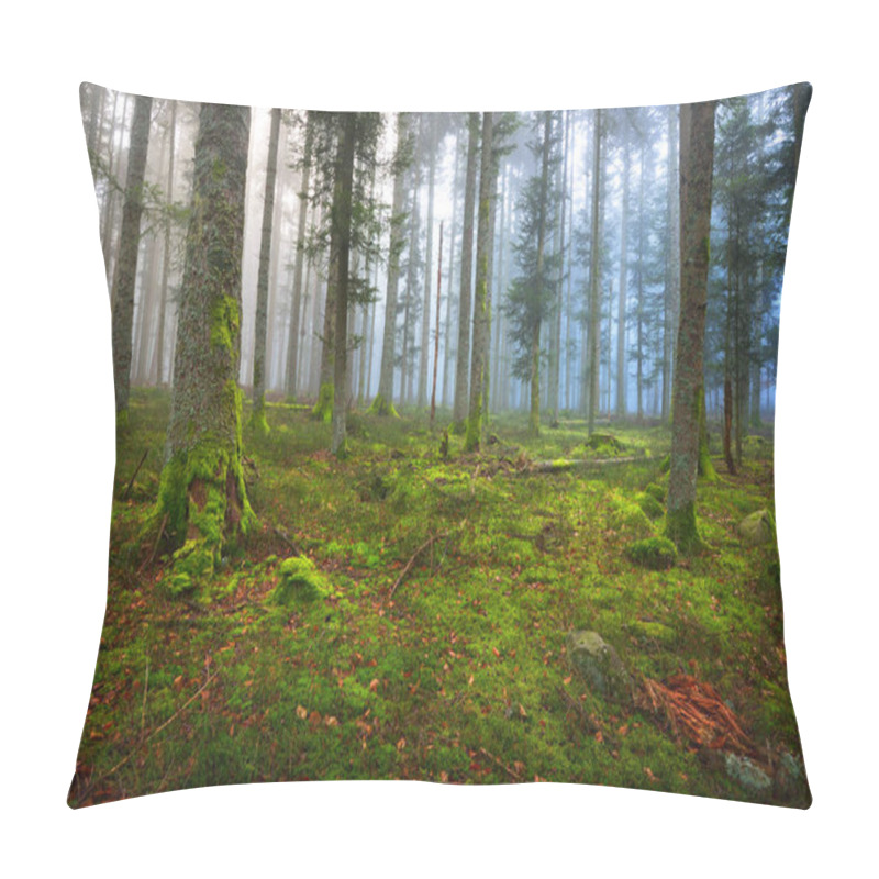 Personality  A scene in a dark misty pine forest  pillow covers