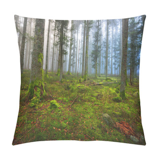 Personality  A Scene In A Dark Misty Pine Forest  Pillow Covers