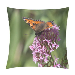 Personality  On A Very Sunny Day In June In South Germany You See Details And Colorful Butterflies On Rose Or Pink Blossom With Strong Green Background From Garden Plants Around Pillow Covers
