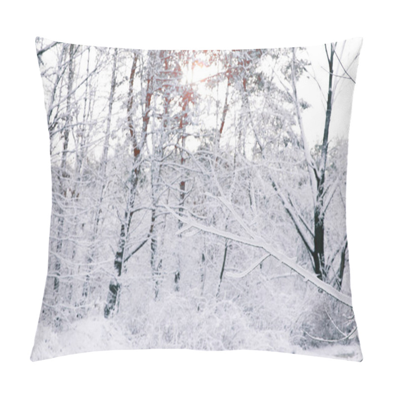 Personality  Beautiful Trees Covered With Snow In Forest Pillow Covers