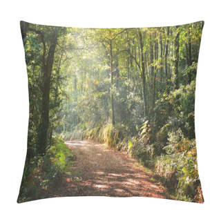 Personality  Walkway In A Green Deciduous Forest Pillow Covers