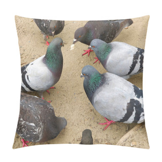 Personality  Detail Of Feeding Pigeons In Prague. Pillow Covers