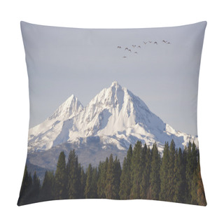 Personality  Wild Geese Fly Migrate Mountain Winter Cascade Range Oregon USA Pillow Covers
