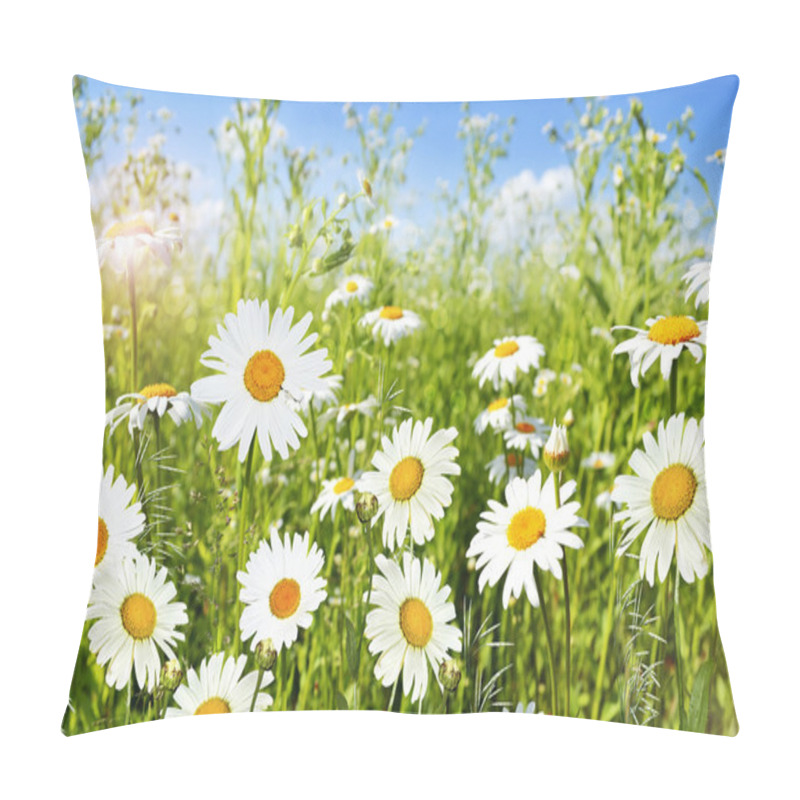 Personality  Wildflowers daisies pillow covers