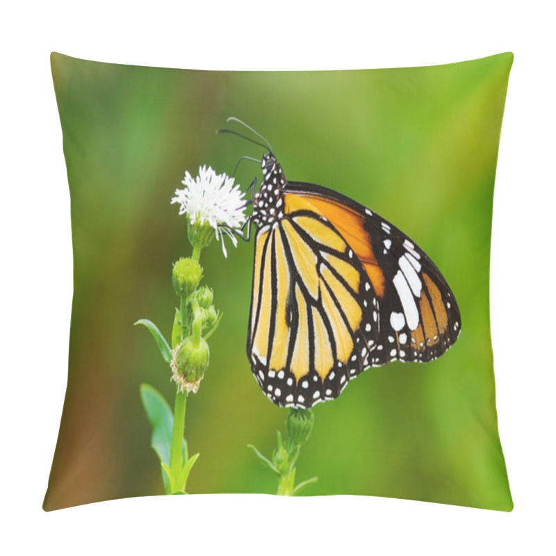 Personality  Butterfly (Danaidae), Common Tiger Pillow Covers