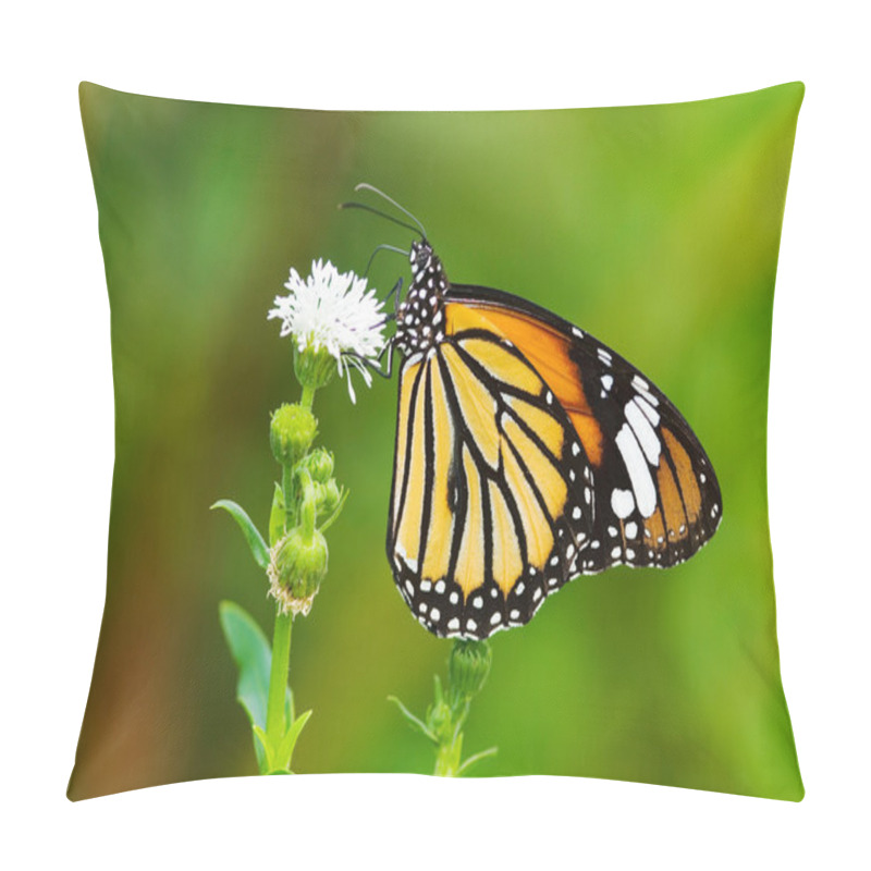 Personality  Butterfly (Danaidae), common tiger pillow covers