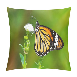 Personality  Butterfly (Danaidae), Common Tiger Pillow Covers