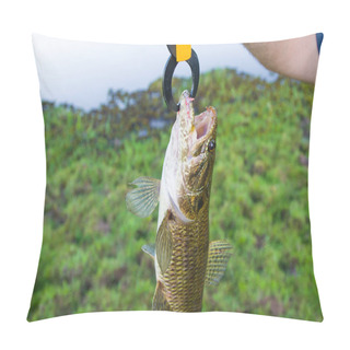Personality  Fisherman Showing Fish That Caught With Artificial Bait, Traira Fish (Hoplias Malabaricus). Pillow Covers