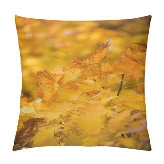 Personality  Warm Colors Of Autumn. Yellow Leaves Covering A Tree. Pillow Covers