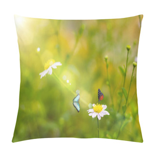 Personality  Grass Flower  Blowing In The Wind In The Morning With Golden Sunshine With  Two Butterflies Pillow Covers